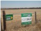 1157 Starick Road Kongolia VIA, Cambrai SA 5353