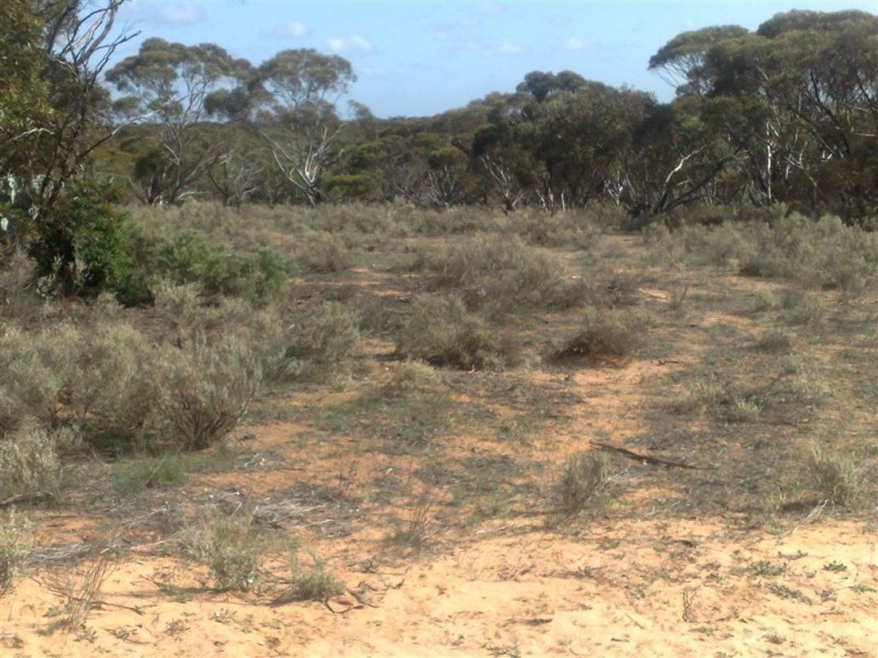 Sec 208 Rochow Road, Black Hill SA 5353