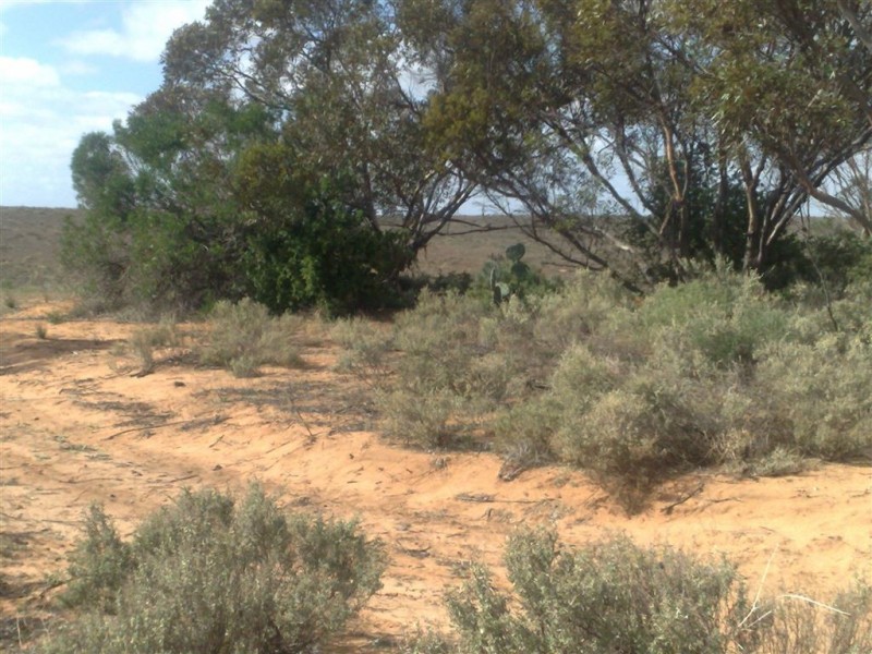 Sec 208 Rochow Road, Black Hill SA 5353