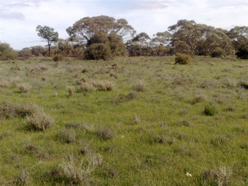 Allot 1 Batten Road, Sedan SA 5353