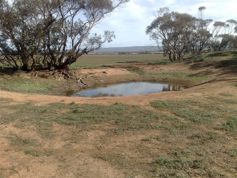 Allot 1 Batten Road, Sedan SA 5353