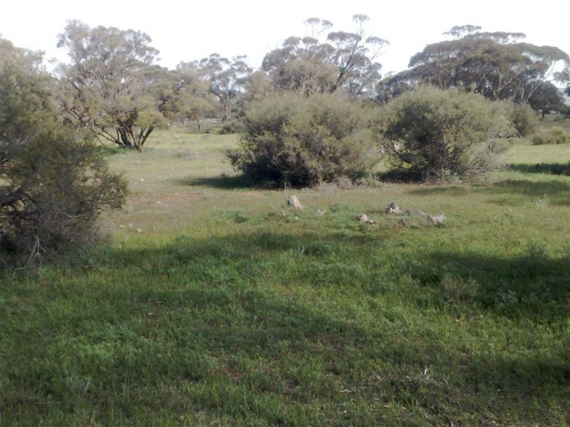 Allot 1 Batten Road, Sedan SA 5353