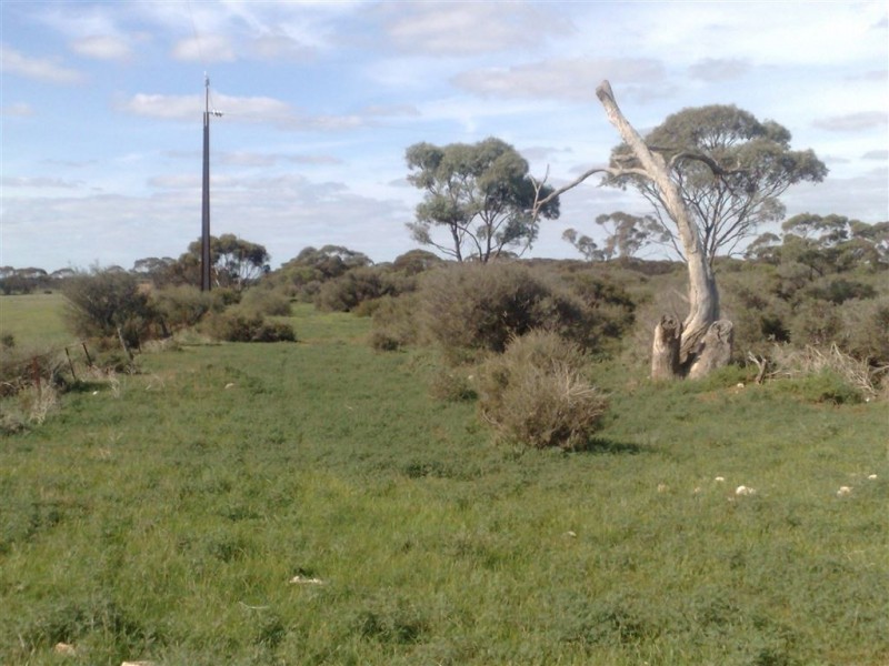 Allot 1 Batten Road, Sedan SA 5353