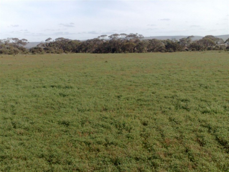 Allot 1 Batten Road, Sedan SA 5353