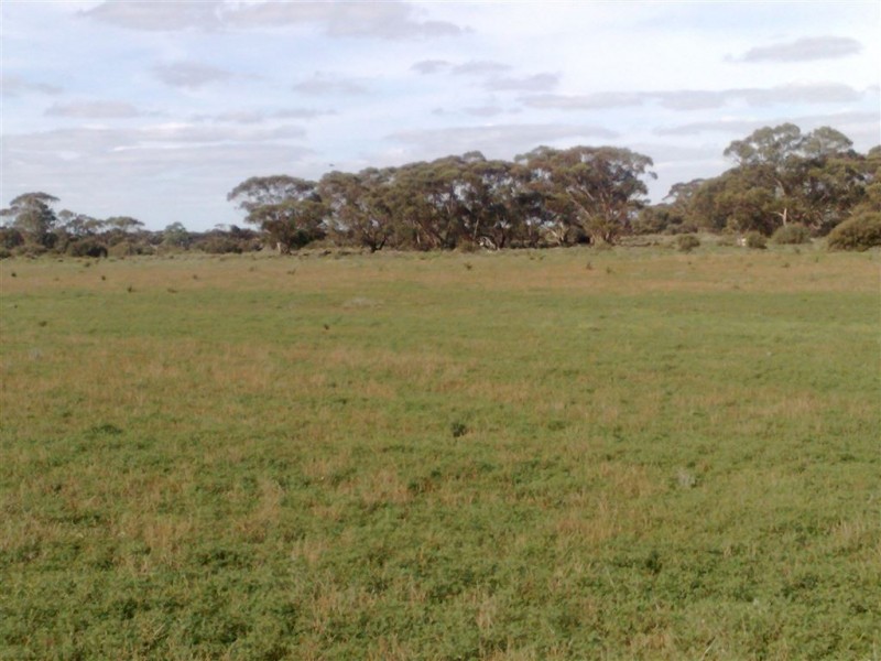 Allot 1 Batten Road, Sedan SA 5353