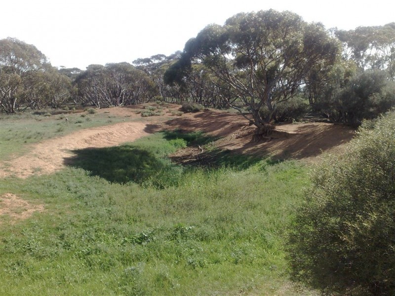 Allot 1 Batten Road, Sedan SA 5353