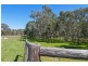 No 6 Brinkworth Road, Tungkillo SA 5236
