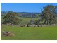 No 6 Brinkworth Road, Tungkillo SA 5236