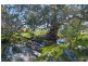 No 6 Brinkworth Road, Tungkillo SA 5236