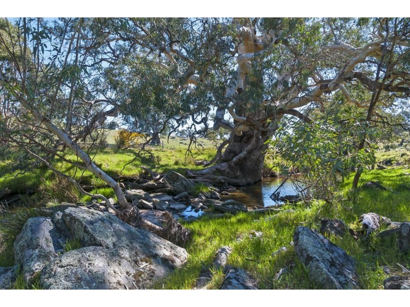 No 6 Brinkworth Road, Tungkillo SA 5236
