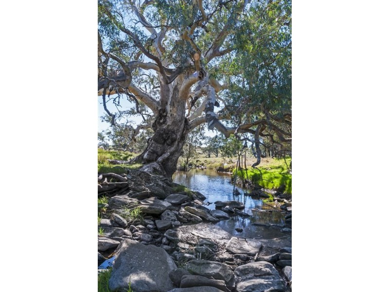 No 6 Brinkworth Road, Tungkillo SA 5236