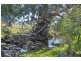 No 6 Brinkworth Road, Tungkillo SA 5236