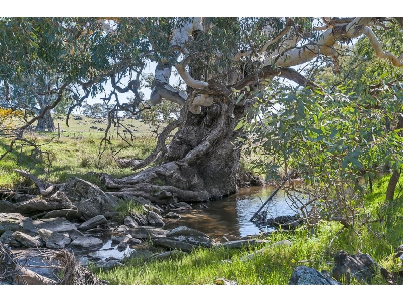No 6 Brinkworth Road, Tungkillo SA 5236