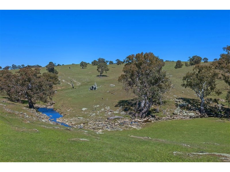 No 6 Brinkworth Road, Tungkillo SA 5236