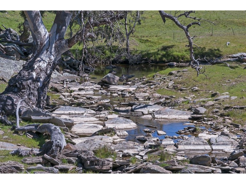 No 6 Brinkworth Road, Tungkillo SA 5236