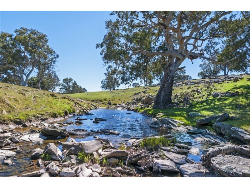 No 6 Brinkworth Road, Tungkillo SA 5236