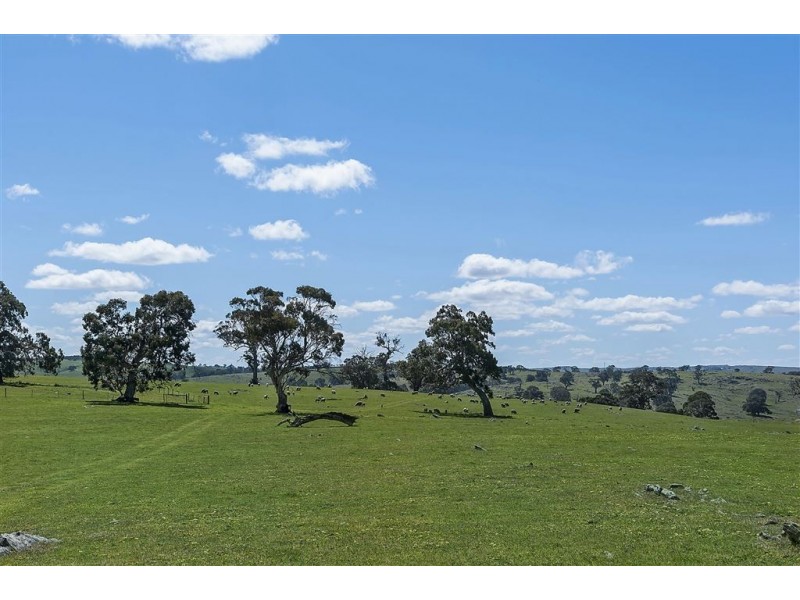 Brices Collins Road, Tungkillo SA 5236