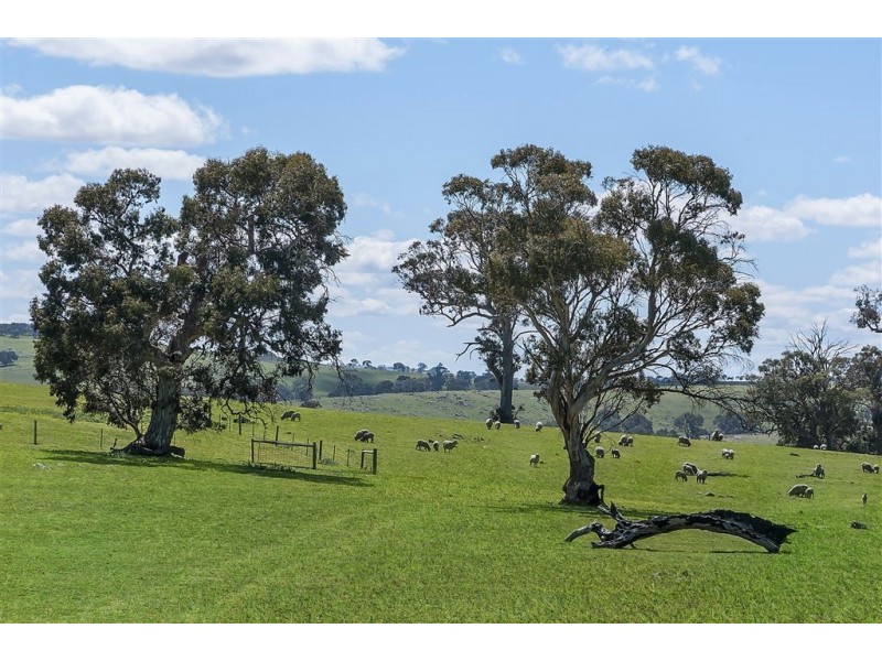 Brices Collins Road, Tungkillo SA 5236