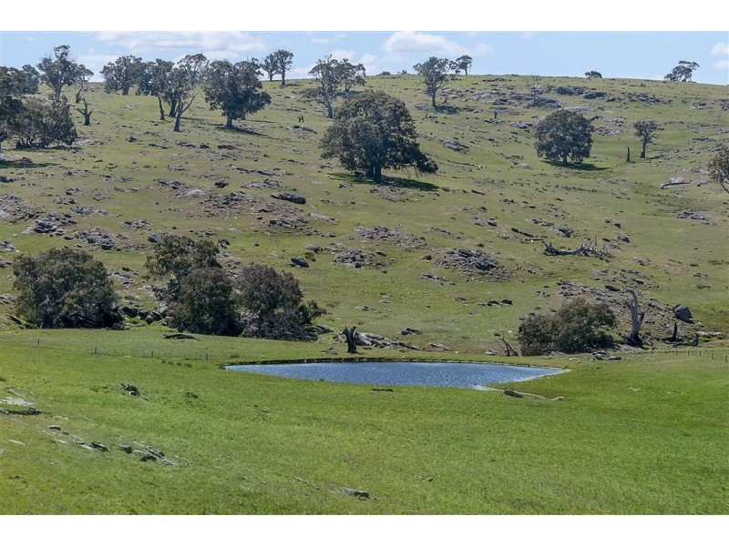 Brices Collins Road, Tungkillo SA 5236