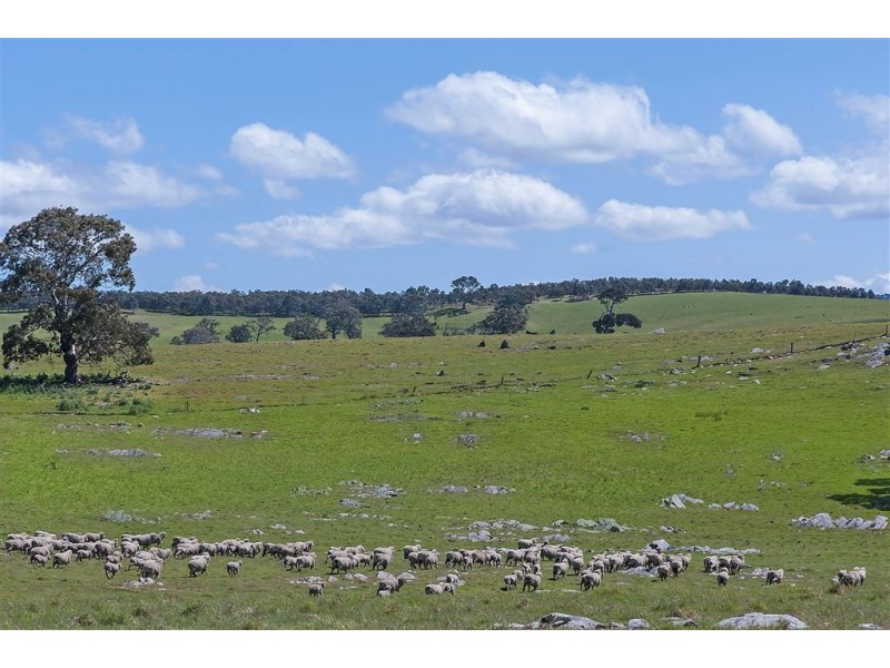 Brices Collins Road, Tungkillo SA 5236