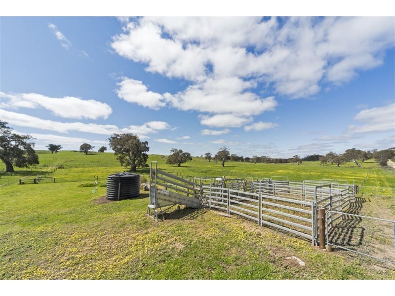 Mount Pleasant SA 5235