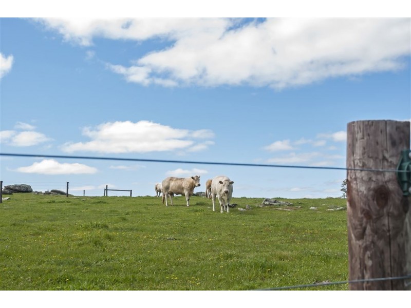 Mount Pleasant SA 5235