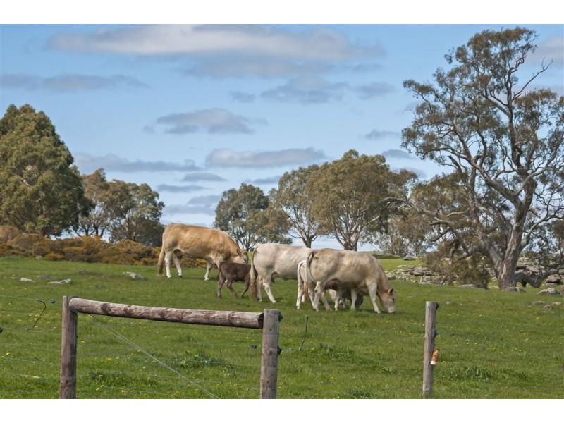 Mount Pleasant SA 5235