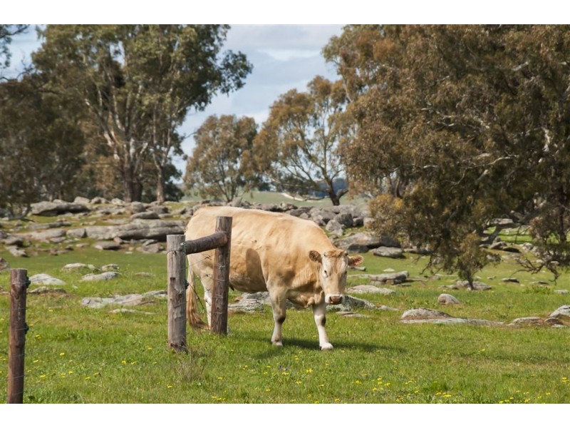 Mount Pleasant SA 5235