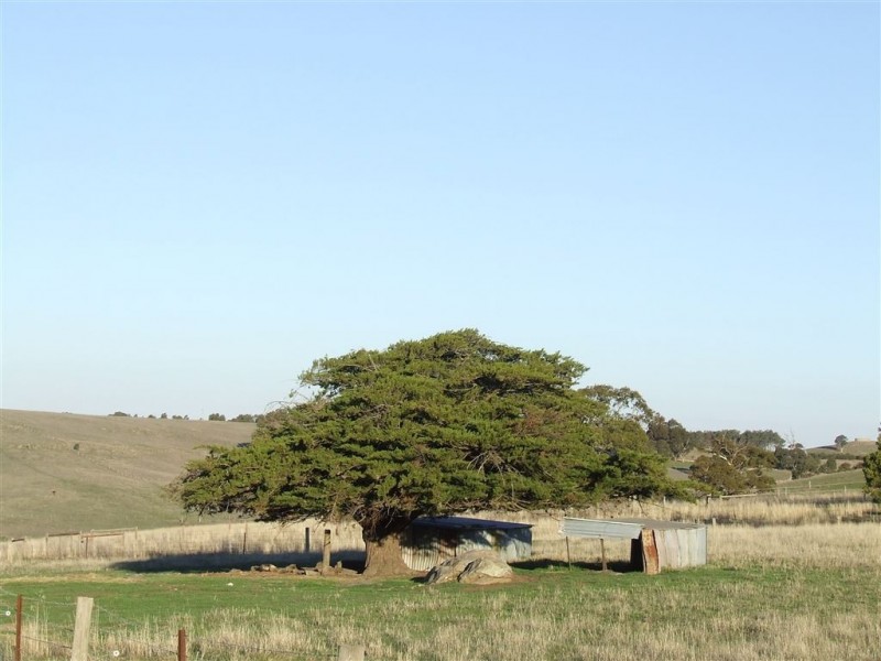 2803 Eden Valley Road, Mount Pleasant SA 5235