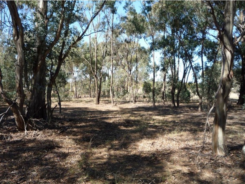 60 ADAMS ROAD, Slaty Creek VIC 3478