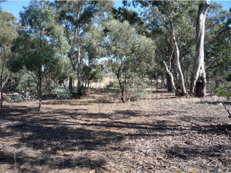 60 ADAMS ROAD, Slaty Creek VIC 3478