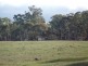 Lot 42 Shearing Shed Road, Carapooee West VIC 3478