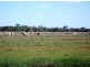 “CARRS” Charlton-St.Arnaud Road, Charlton VIC 3525