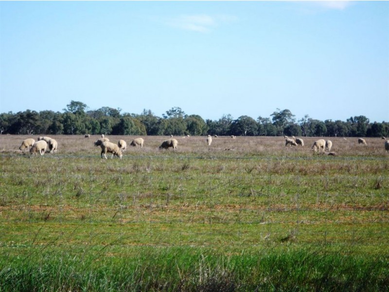 “CARRS” Charlton-St.Arnaud Road, Charlton VIC 3525