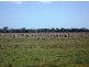 “CARRS” Charlton-St.Arnaud Road, Charlton VIC 3525
