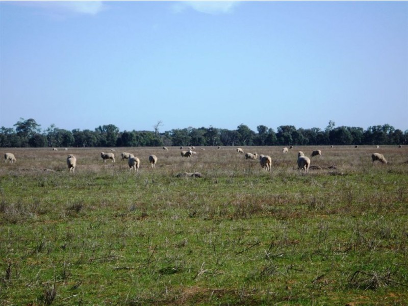 “CARRS” Charlton-St.Arnaud Road, Charlton VIC 3525