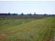 “CARRS” Charlton-St.Arnaud Road, Charlton VIC 3525