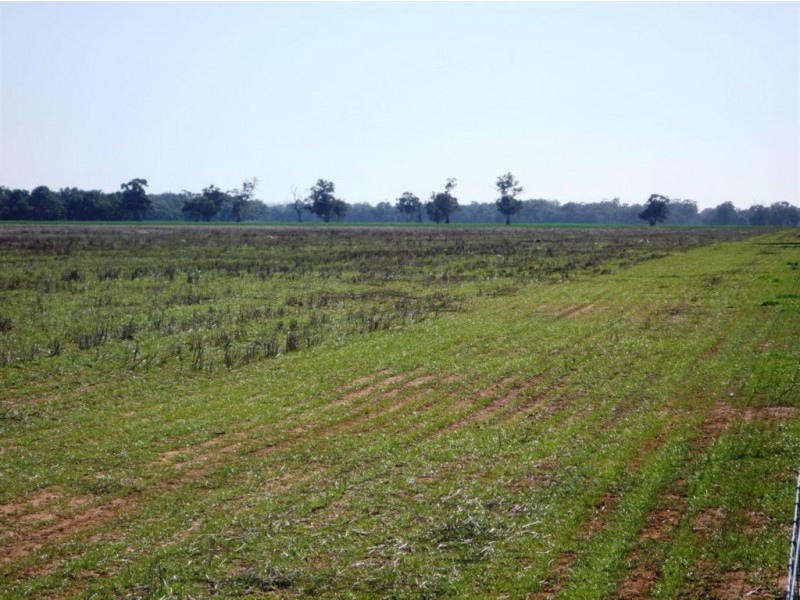 “CARRS” Charlton-St.Arnaud Road, Charlton VIC 3525