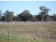 “CARRS” Charlton-St.Arnaud Road, Charlton VIC 3525
