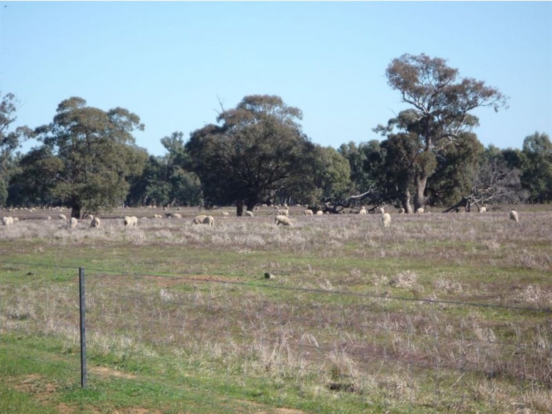 “CARRS” Charlton-St.Arnaud Road, Charlton VIC 3525