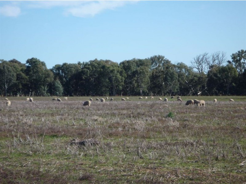 “CARRS” Charlton-St.Arnaud Road, Charlton VIC 3525