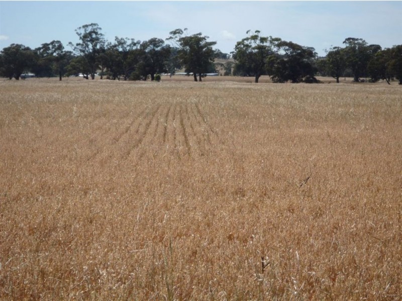 - Fitzpatrick Road, Moolerr VIC 3478