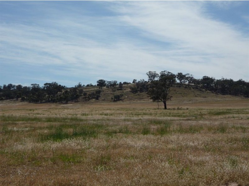 - Fitzpatrick Road, Moolerr VIC 3478