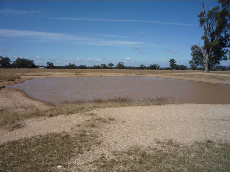 - Fitzpatrick Road, Moolerr VIC 3478