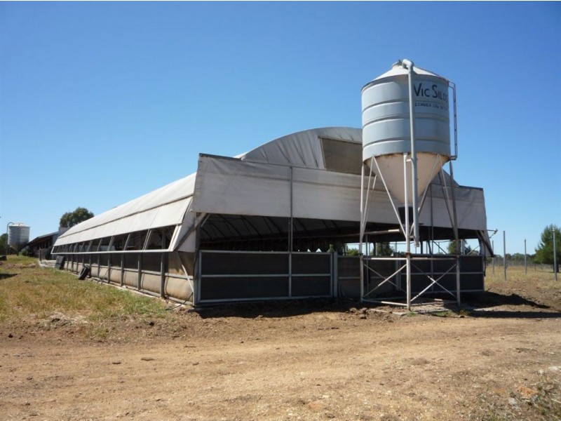 94 Reid Road, Coonooer Bridge VIC 3478