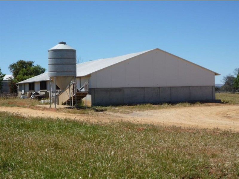 94 Reid Road, Coonooer Bridge VIC 3478