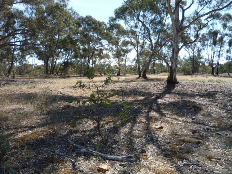 Lot 13 McMahon Street, St Arnaud VIC 3478