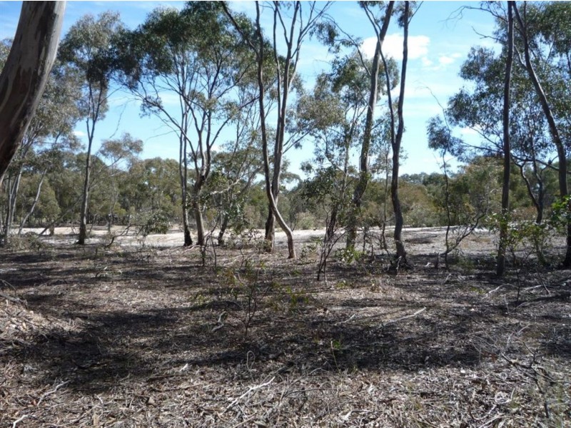 Lot 13 McMahon Street, St Arnaud VIC 3478