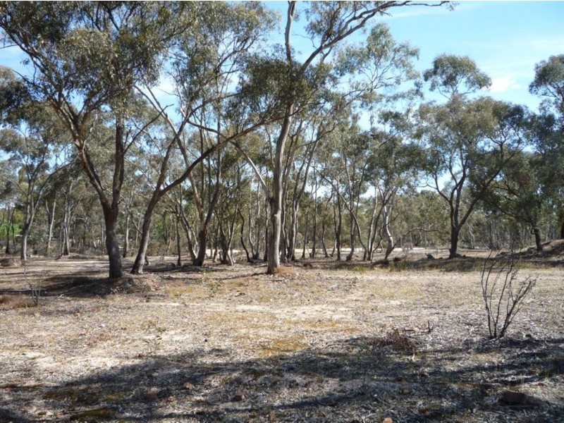 Lot 13 McMahon Street, St Arnaud VIC 3478