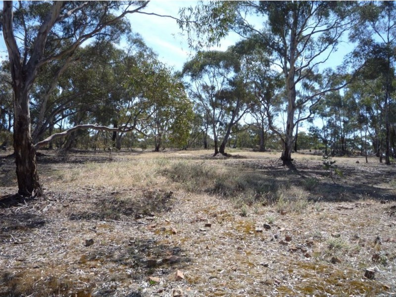 Lot 13 McMahon Street, St Arnaud VIC 3478